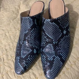 Nice shoes one time used for graduation